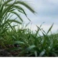 فروش-یامعاوضه-زمین-بااپارتمان