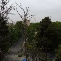 استخدام مشاور مبتدی با درآمد دائم