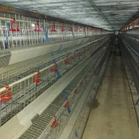 خرید و فروش تجهیزات مرغداری و...