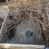 فروش زمین ۲۳۶ متری در دروازه شمیران