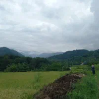۳۰۰ مترزمین در روستای کلوان،  شهرستان شفت.گیلان|فروش زمین و ملک کلنگی|احمدسرگوراب, |دیوار