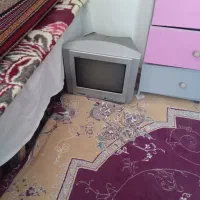 تلویزیون ۱۴درحدنوع