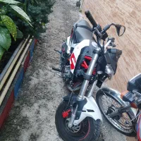 بنلی135 مینی