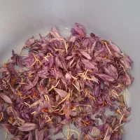 کارگر برای زعفران با سرویس تایباد کاریز