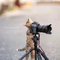 نقاش می‌سازد، عکاس فاش می‌کند