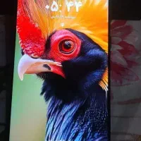 سامسونگ اس 21G5التر معاوضه