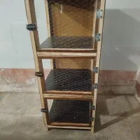 جفت کن کبوتر وانواع پرنده