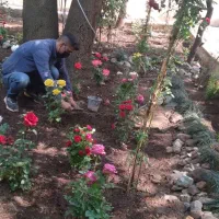 باغبانی وسمپاشی