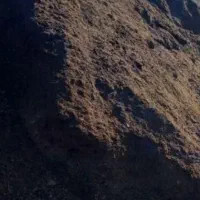 انبارگاوگوسفند