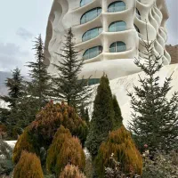 ۴۹ متر شمشک گل یخ