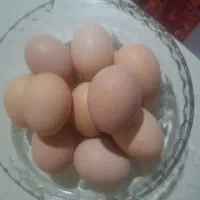 تخم مرغ محلی درشت دانه ای ده هزارتومان