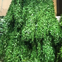 کارخانه چمن مصنوعی|خدمات باغبانی و درختکاری|شیراز, تاچارا|دیوار