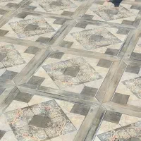 کبوتر|پرنده|شادگان, |دیوار