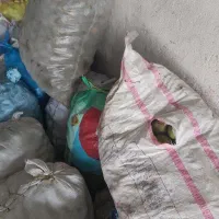 فروش مستقیم میوه و گردو میدان تره بار تهران|خوردنی و آشامیدنی|تهران, میدان میوه و تره‌بار مرکزی|دیوار