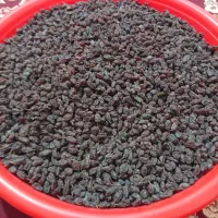 کشمش اعلاوخوردنی