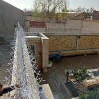 حفاظ بوته ای