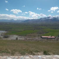 ۷ عدد کود شیمیایی سولفات پتاس اصلی