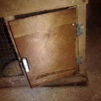معاوضه قفس مرغ .بلدرچین. جوجه.خرگوش.وپرنده|لوازم جانبی حیوانات|رشت, معلولین|دیوار