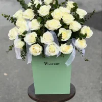 طبیعی|گل و گیاه طبیعی|ارومیه, |دیوار