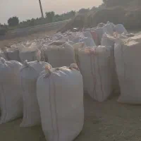 کاه یونجه|خدمات باغبانی و درختکاری|گتوند, |دیوار