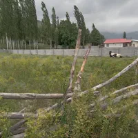 زمین ۵۳۰ متری دونبش در منطقه ییلاقی کجور|فروش زمین و ملک کلنگی|تهران, امامت|دیوار