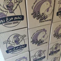 پخش تخم مرغ فرزانه|خوردنی و آشامیدنی|تهران, فرزانه|دیوار