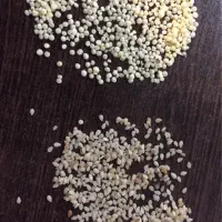 گرانول غلات،رایس کریسپی،اسنک