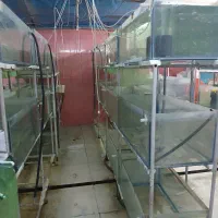 آکواریوم سالنی|ماهی|محمدشهر, زیبادشت|دیوار