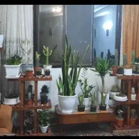 پایه گل