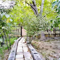 اجاره باغ ویلا با چشم اندازی زیبا در دل طبیعت|اجارهٔ کوتاه‌مدت ویلا و باغ|کاشان, پشت شهربانی|دیوار