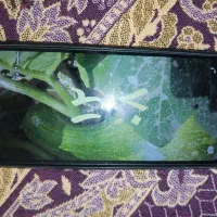 فروش گوشی شیامی