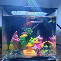 اکواریوم و ماهی