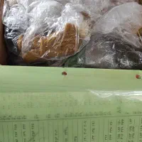 دار قالی (منظره)|تابلو فرش|پاکدشت, پاکدشت (مامازند)|دیوار