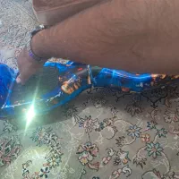 اسکوتر