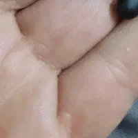 پیدا شده