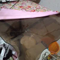 میز۲۰۰