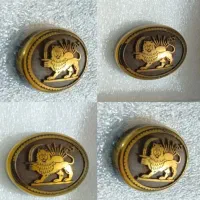 نگین شیر خورشید|کلکسیون اشیاء عتیقه|شیراز, سینما سعدی|دیوار