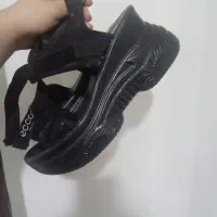 کفش تابستانی مجلسی