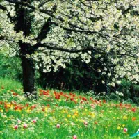 استخدام پذیریش شیفت شب