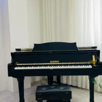 پیانو گرند مدل کاسیو|پیانو، کیبورد، آکاردئون|بوشهر, |دیوار