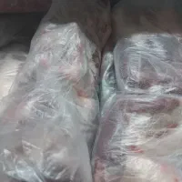 ضایعات بلدرچین غذای سگ