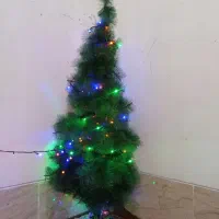 فروش درخت کریسمس