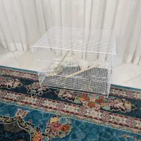 قفس|لوازم جانبی حیوانات|مشهد, موعود|دیوار