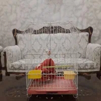 قفس مرغ مینا و انواع طوطی سانان با کیله لوازم