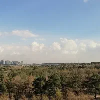 ۹۶ متر داخل برج ، ویو جنگل و دریاچه