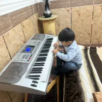 اورگ mk810  دارای 128 ریتم|پیانو، کیبورد، آکاردئون|سراوان, |دیوار