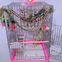 قفس طوطی|لوازم جانبی حیوانات|شاهینشهر, شهرک گلدیس|دیوار