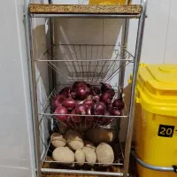 جاسیب پیازی