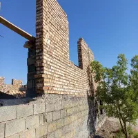 استاد بنا همه کاره