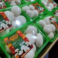 نیروی خانم برای بسته بندی قارچ